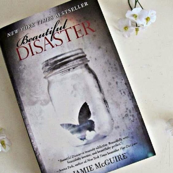 Beautiful Disaster Book Review & Insights | Our Take